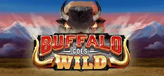 Buffalo Goes Wild